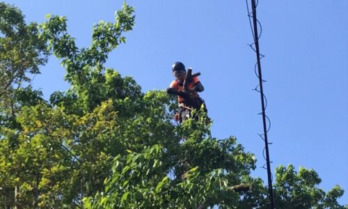 LINE_ALBUM_西田邸　荒尾市野原_230508_5